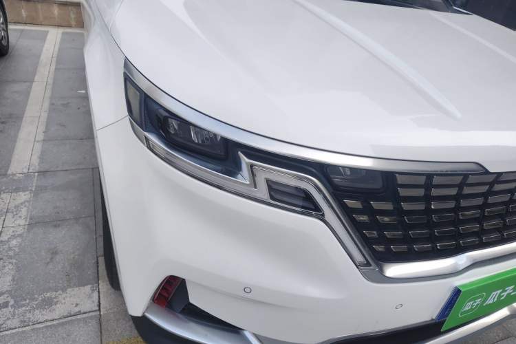 Used Kia Carnival 2021 2.0T Luxury Premium Model
