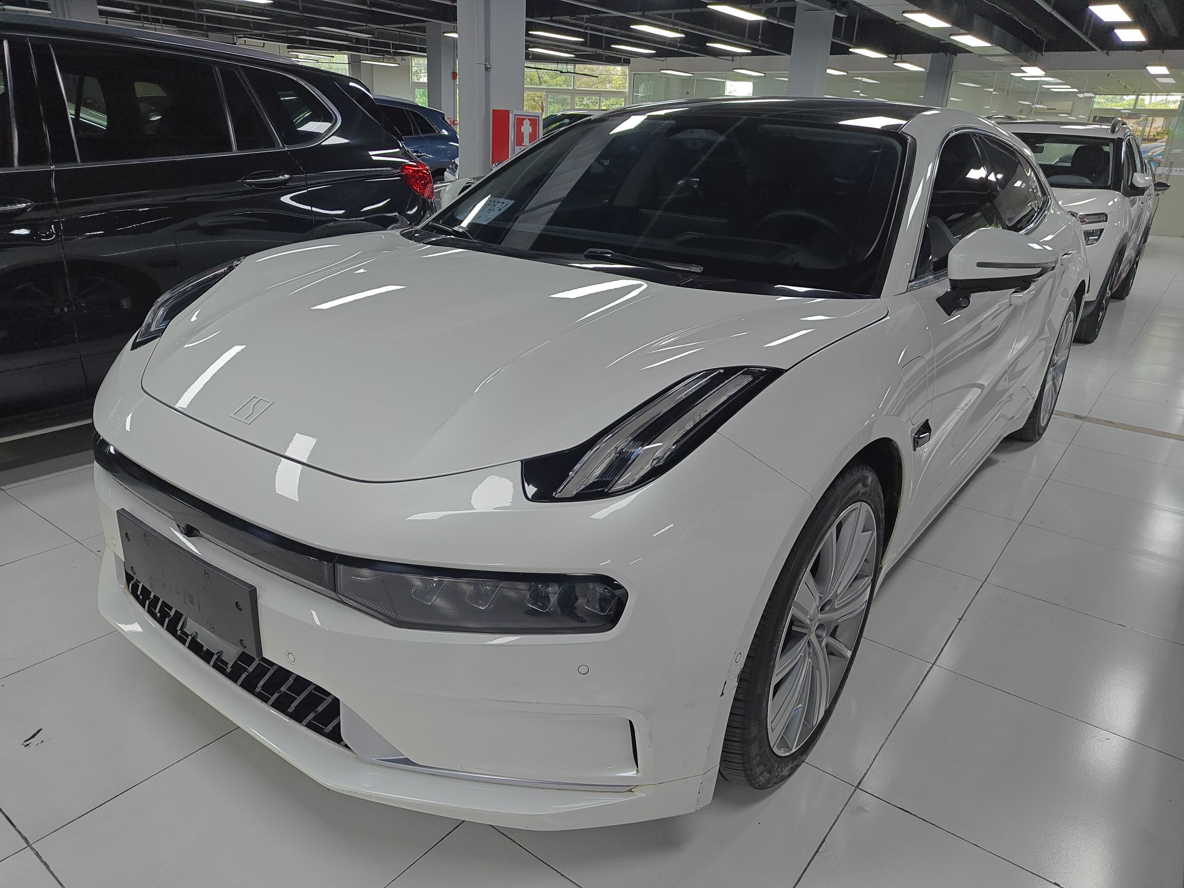 Parte inferior delantera