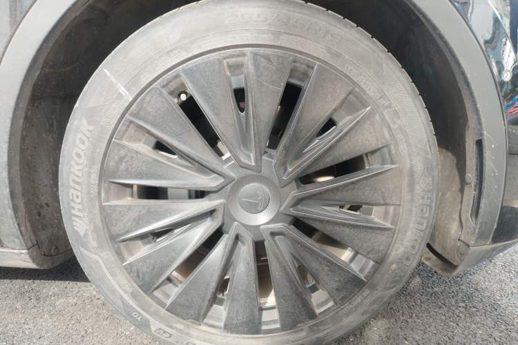 Used Tesla Model Y 2021 Standard Range Rear-Wheel Drive Version
