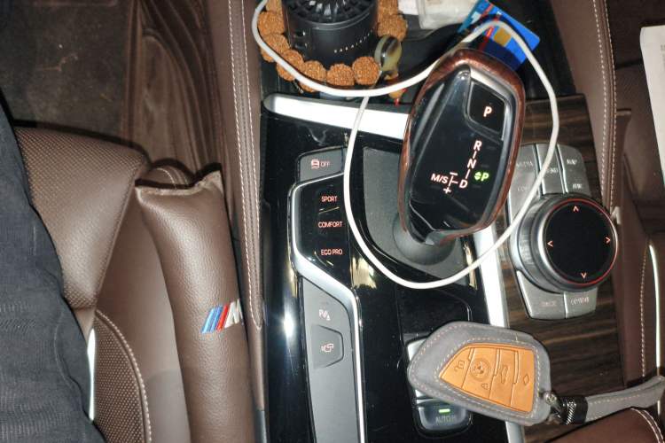 Used BMW 5 Series 2020 530Li Luxury Edition Premium Package