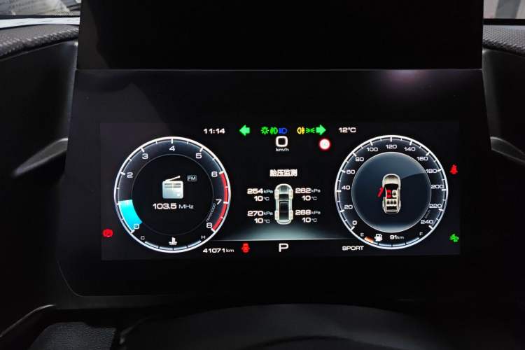 Used Haval DARGO 2024 2.0T DCT Chinese Rural Dog Edition
