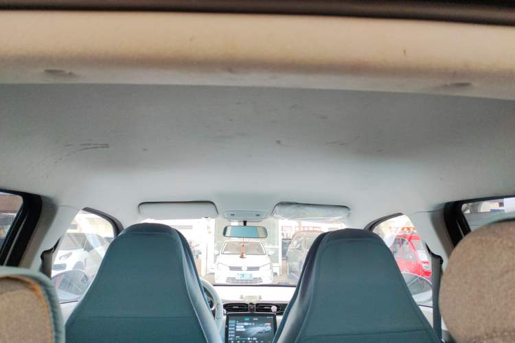 Used Leapmotor T03 2023 310 Lite Edition Headliner