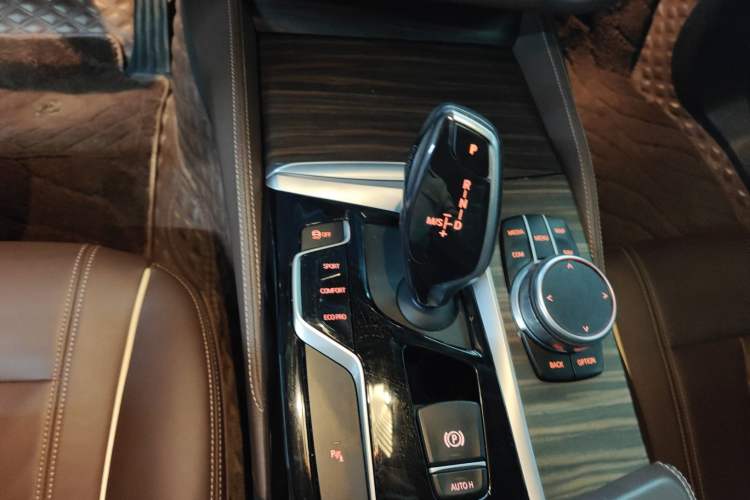 Used BMW 5 Series 2020 530Li xDrive Luxury Package Gear Lever