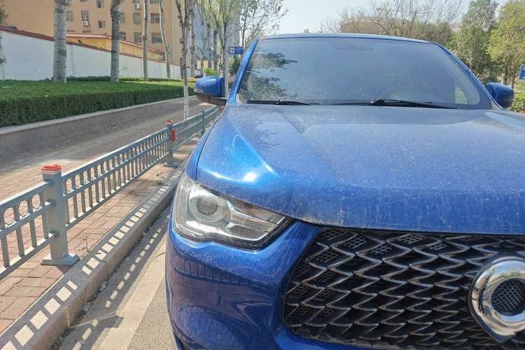 Used Great Wall Poer 2019 2.0T Commercial Version Manual Diesel 4x4 Elite Long-Box GW4D20M
