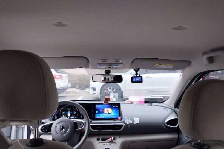 Used ORA White Cat 2020 305 km Luxury Version Headliner