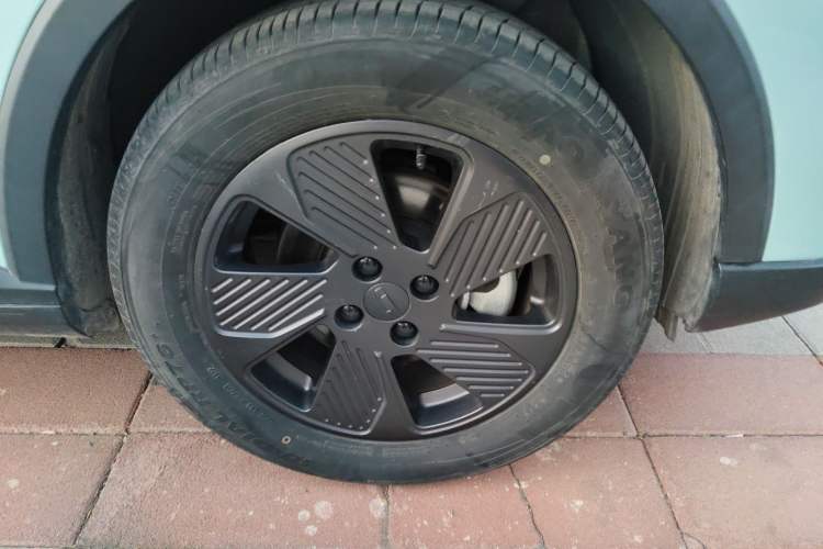 Used Geometry E Firefly 2022 401KM Lightning Tiger 5-Seater