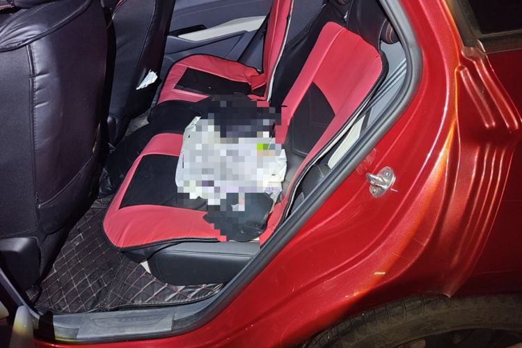 Used Baojun RC-6 2019 1.5T CVT 24-Hour Online Luxury Edition Left Rear Seat