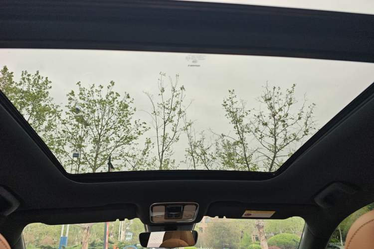 Used Li Auto ONE 2021 Extended-Range 6-Seater Version Headliner