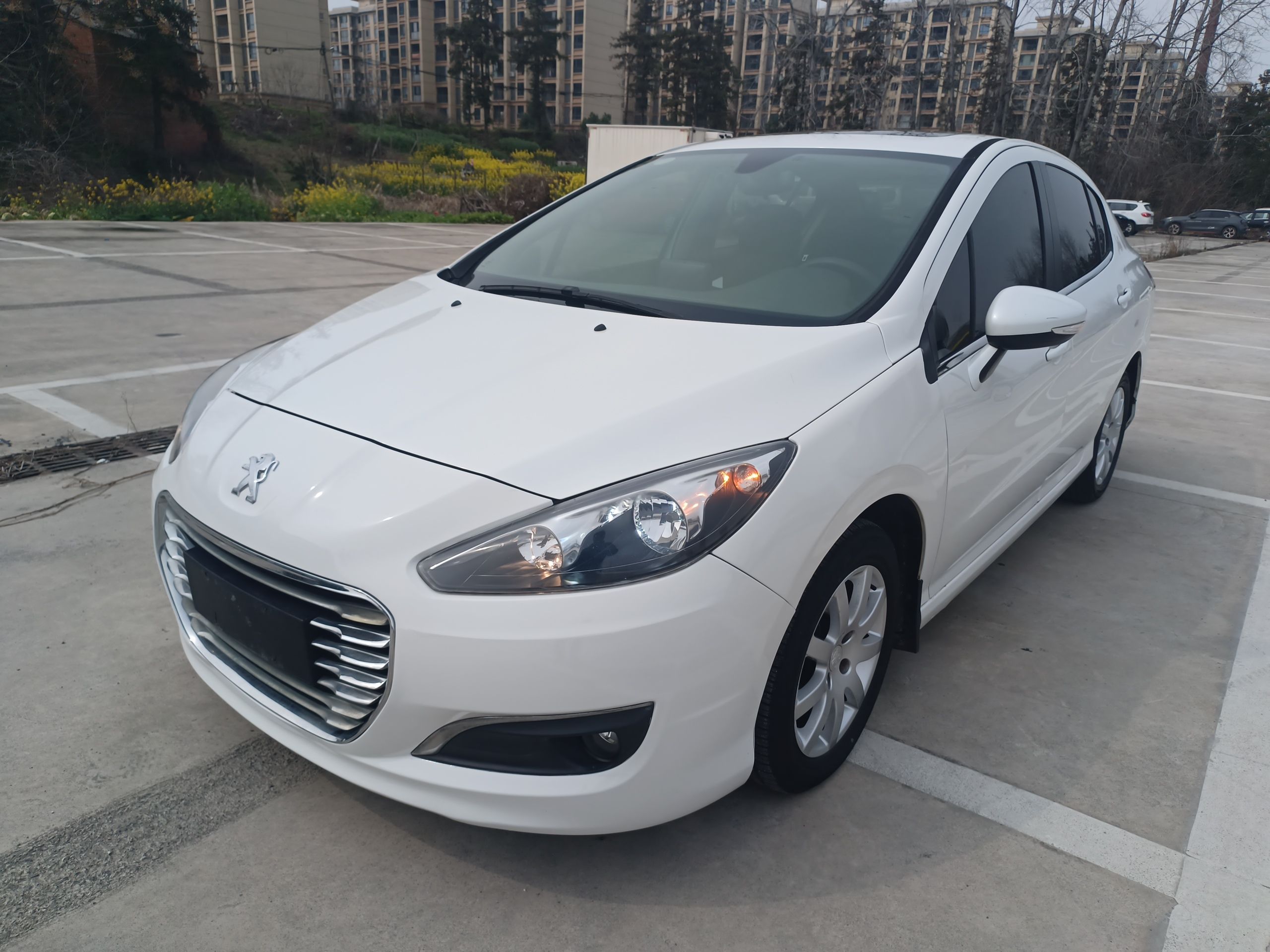 تحت مقدمة السيارة