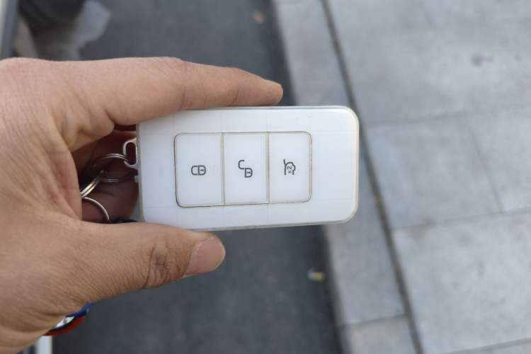 Used BYD Tang New Energy 2017 2.0T All-Wheel Drive Hyatt Model