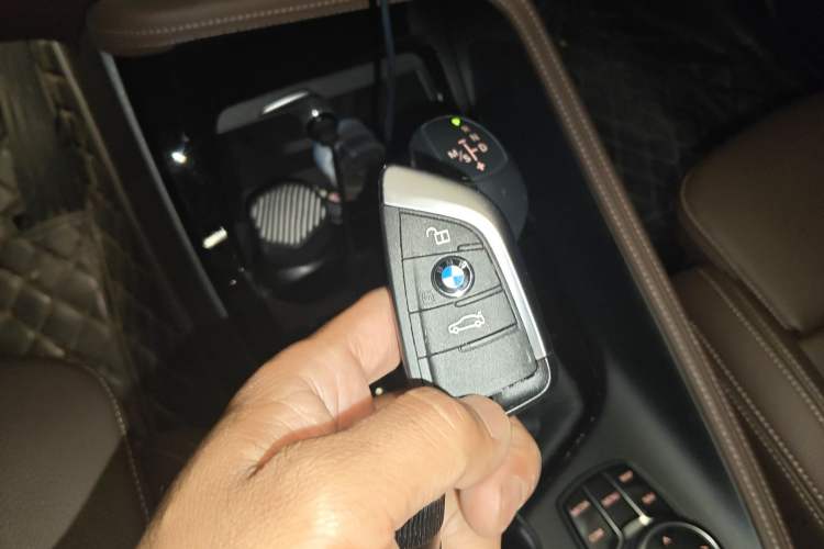 Used BMW X1 New Energy 2020 xDrive30Le Premium Edition