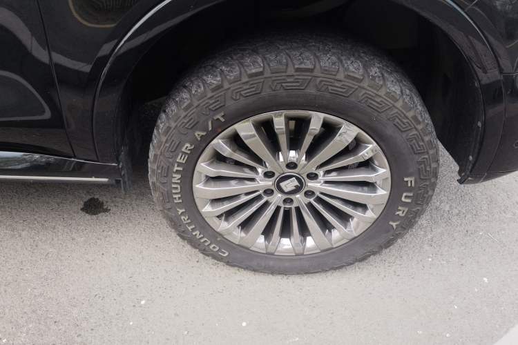 Used Tank 500 New Energy 2024 Hi4-T
