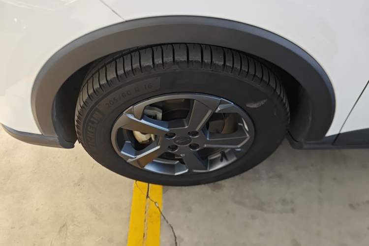 Used Geometry E Firefly 2022 401KM Lightning Tiger 4-Seater