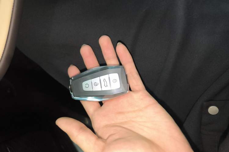 Used Geely Auto Monjaro L 2025 Dongfang Yao 2.0TD Automatic Jinzhao Edition
