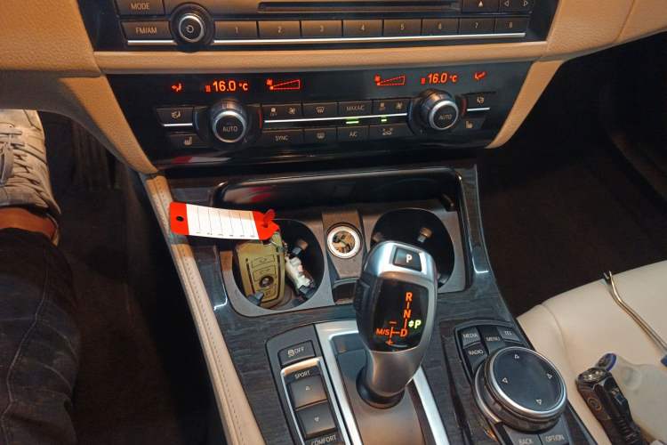 Used BMW 5 Series New Energy 2015 530Le