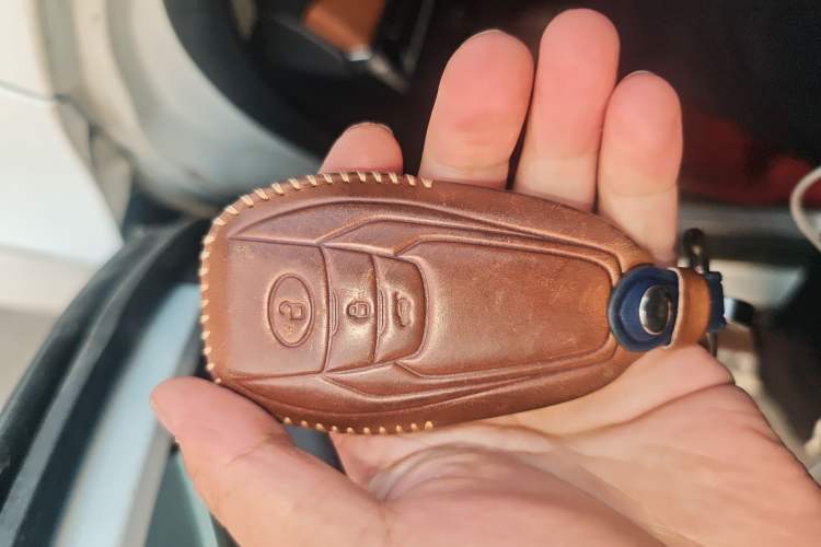 Used SAIC MAXUS D90 2017 2.0T Automatic Two-Wheel Drive - Uranus