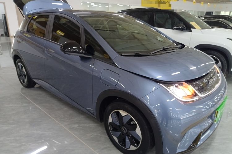 Used BYD Dolphin 2024 Honor Edition 420km Freedom Version