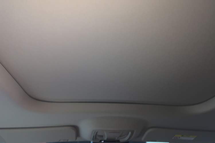 Used Haval H9 2024 2.0T Gasoline All-Wheel-Drive Extreme Edition Headliner