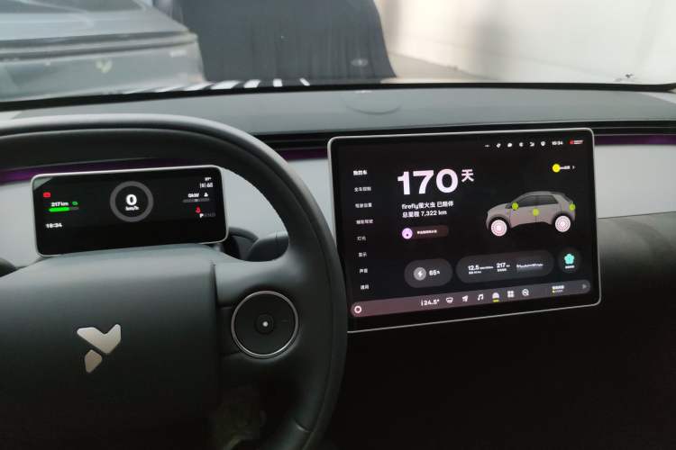 Used firefly 2025 Night Creature Special Edition
