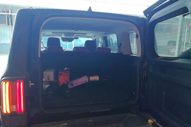 Used Tank 300 2024 2.0T Conqueror