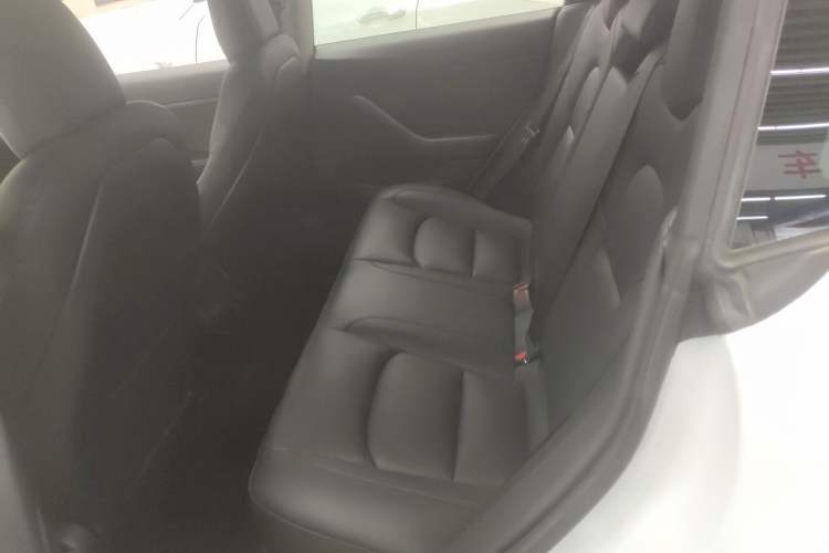 Used Tesla Model 3 2020 Standard Range Rear-Wheel Drive Upgraded Version
