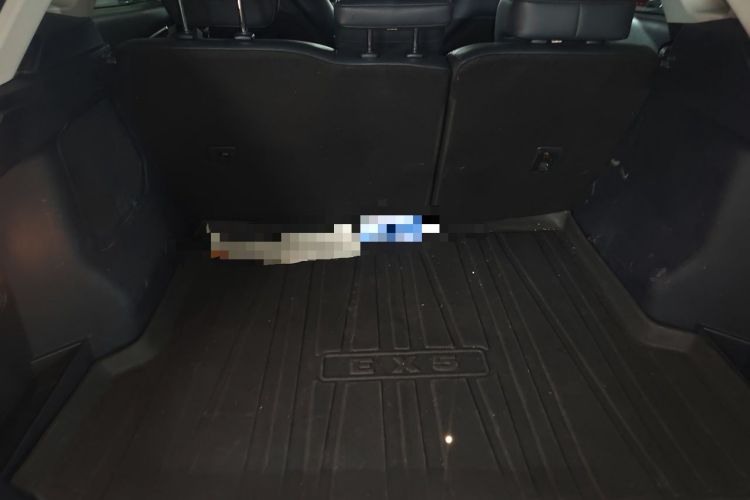 Used WM Motor EX5 2019 EX5 Mate Weymeng Edition 400
