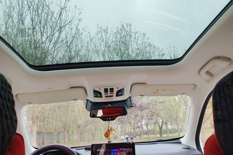 Used Haval H6 2021 National Trend Edition 1.5T Automatic Champion Version Headliner