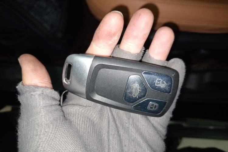 Used Haval H5 2023 2.0T Automatic Two-Wheel Drive LinkedIn Gasoline