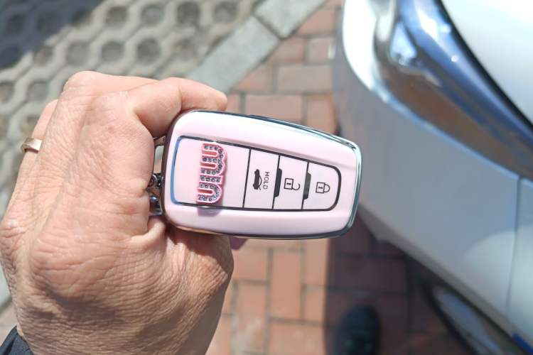 Used Toyota Levin 2019 185T CVT Luxury Edition China VI Standard
