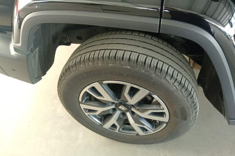 Used Tank 300 2024 2.0T Crosser
