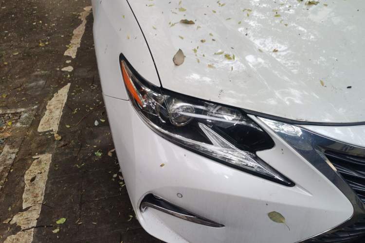 Used Lexus ES 2015 200 Elite Edition Right Front Headlight