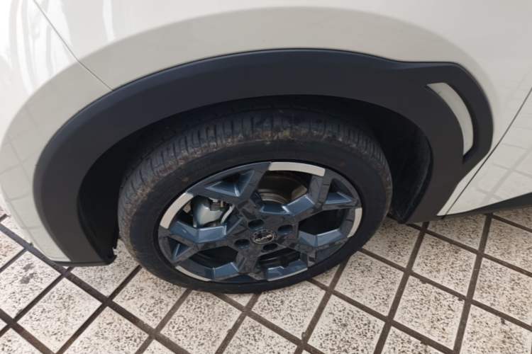 Used BYD Seagull 2025 305 km Free Version
