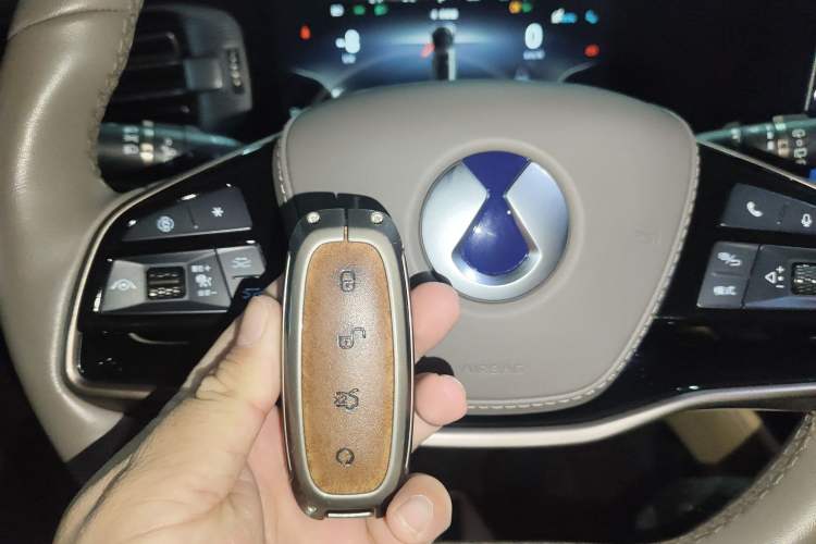 Used Denza D9 2022 DM-i 970 Four-Wheel Drive Flagship Model