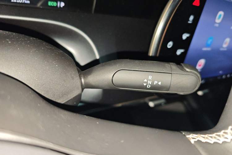 Used smart #5 2024 Jungle Realm Limited Edition