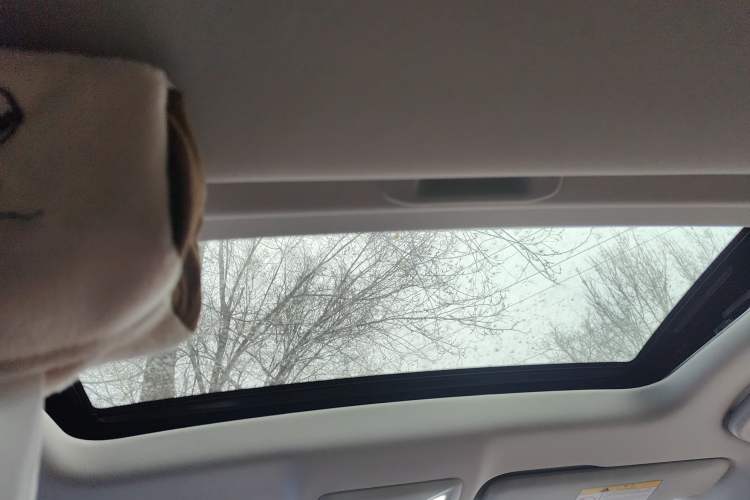 Used CHANGAN NEVO A05 2024 70 Pro Headliner