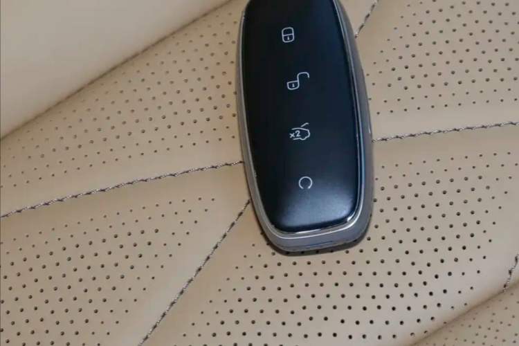 Used Denza D9 2022 DM-i 1040 Prestige Model