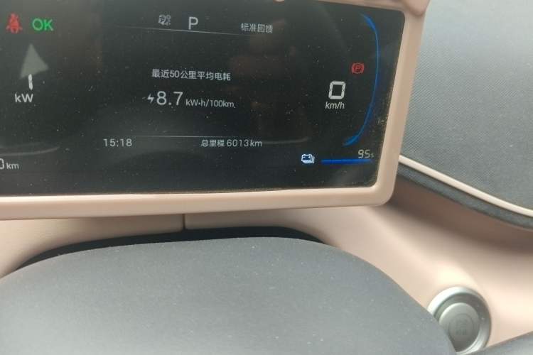 Used BYD Seagull 2024 Honor Edition 305km Dynamic Version Odometer Close Up