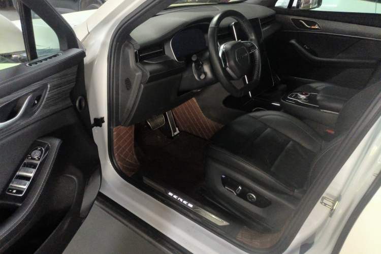 Used SERES SF5 2020 Four-Wheel Drive High-Performance Sports Edition Driver Seat