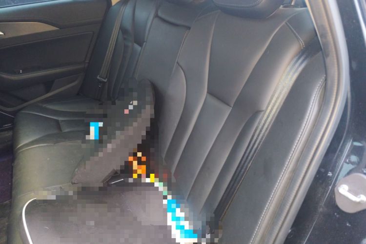 Used Hongqi H5 2022 Classic Model Facelift 1.8T Automatic Smart Connect Flagship Edition Left Rear Seat