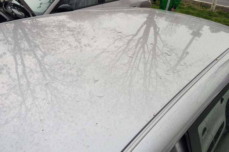 Used Geely Galaxy Geome 2026 Model 310km Youth Edition