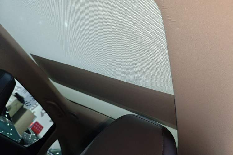 Used XPeng P5 2021 460G Headliner