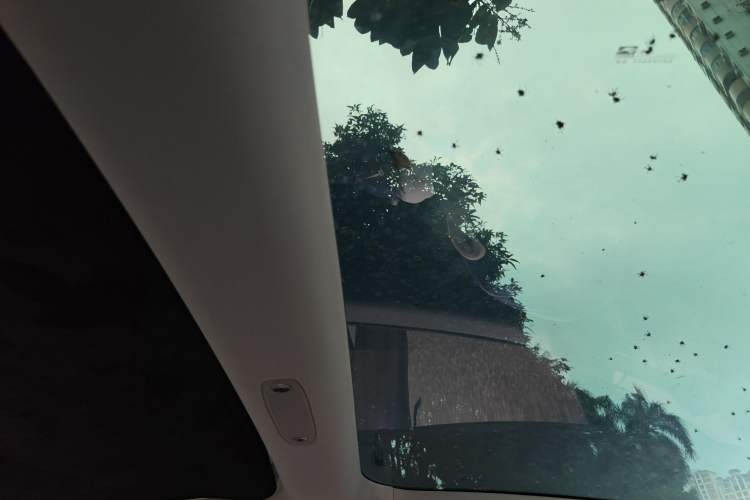 Used Tesla Model 3 2023 Rear-Wheel-Drive Version Headliner