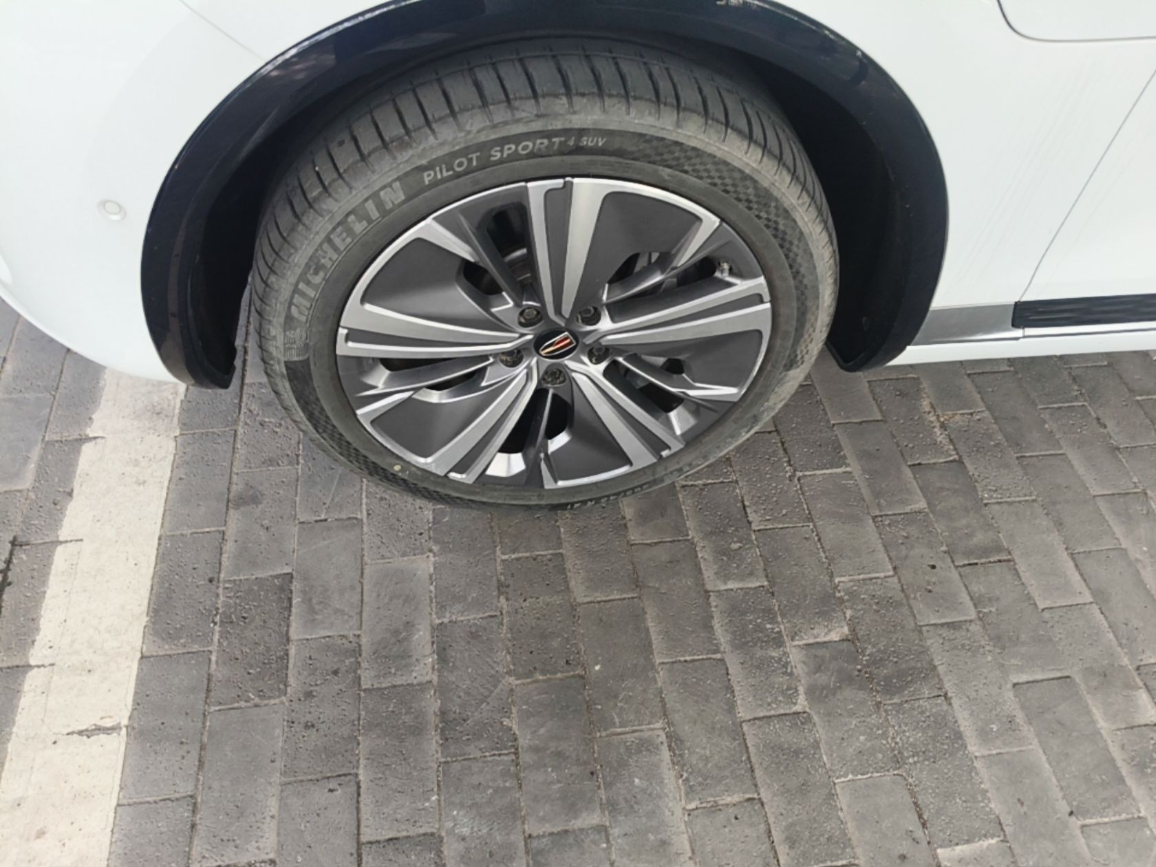 Hongqi E-HS9 2022 660 km Range Flagway Edition Six Seats — снимка 10