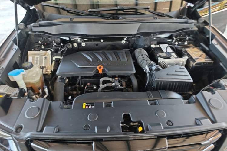 Used Haval DARGO 2021 1.5T DCT Two-Wheel Drive Labrador Edition