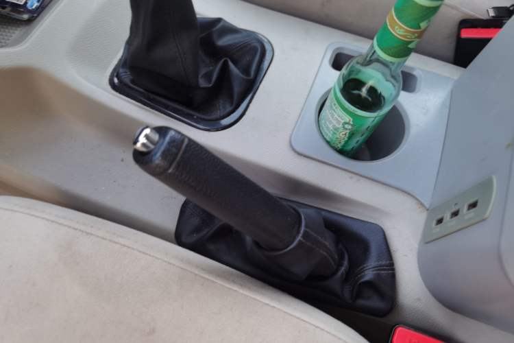 Used FORTHING Lingzhi 