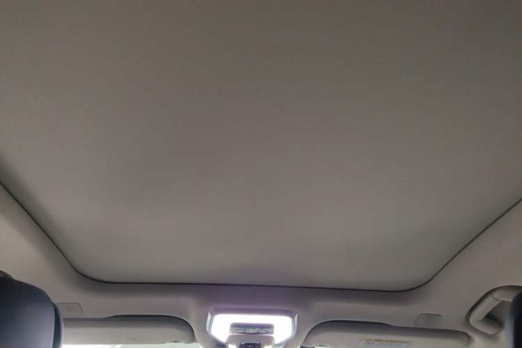 Used Hongqi H9 2023 2.0T Smart Connect Flagship Edition Headliner