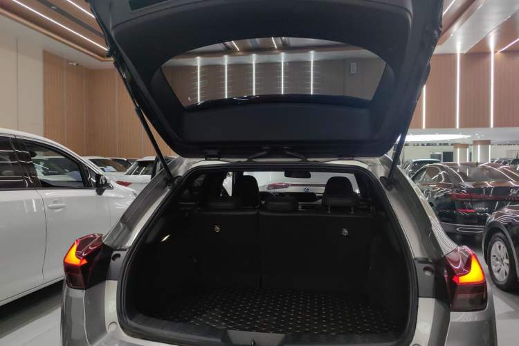 Used Lexus UX New Energy 2020 300e Pure·Joy Edition