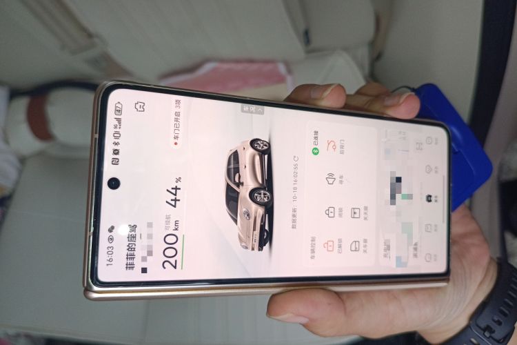 Used ORA Good Cat 2023 401 km Standard Range Premium Version Lithium Iron Phosphate
