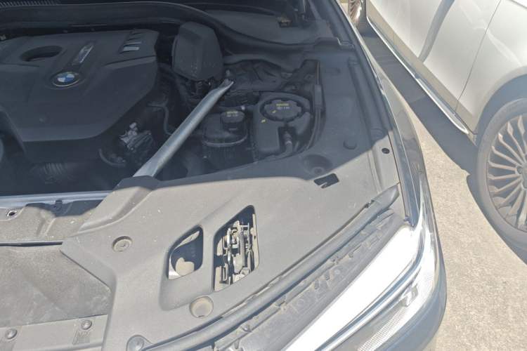 Used BMW 5 Series 2020 530Li Luxury Edition M Sport Package