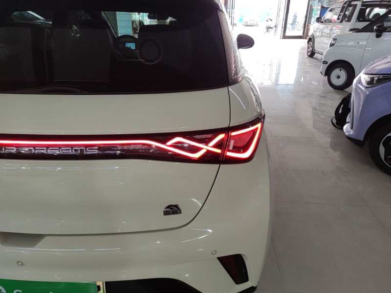 Used BYD Dolphin 2021 405 km Fashion Edition — 7